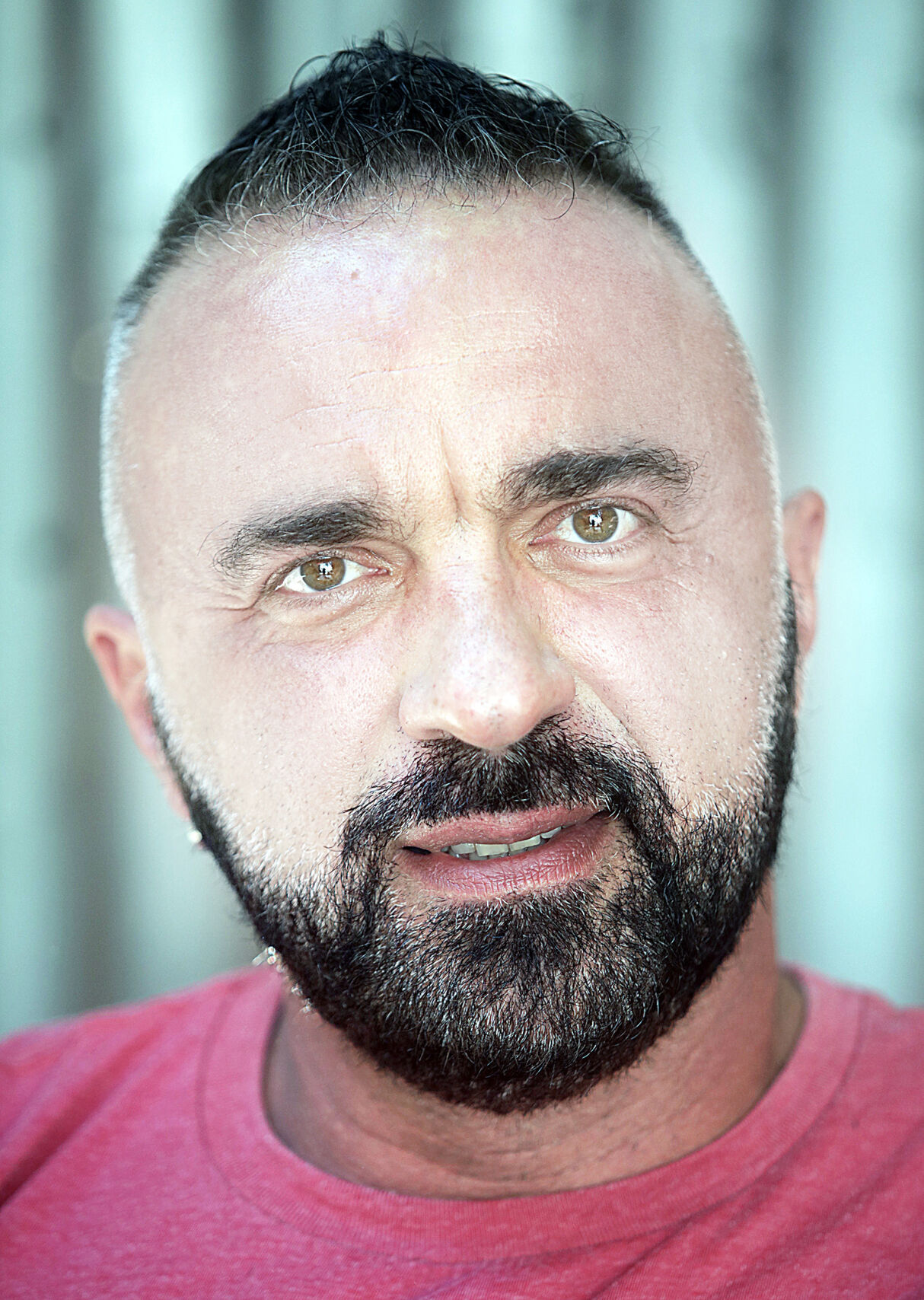 speak cerovic